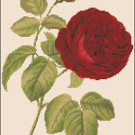 Dark red rose free cross stitch pattern by happy-stitch.net