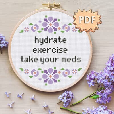 Hydrate - Exercise - Take your meds - cross stitch pattern